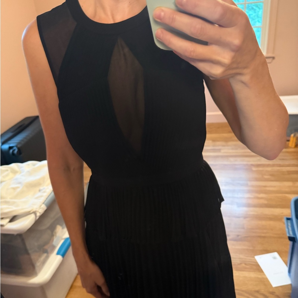 Black BcBg Maxazaria sheer, pleated sleeveless dress.